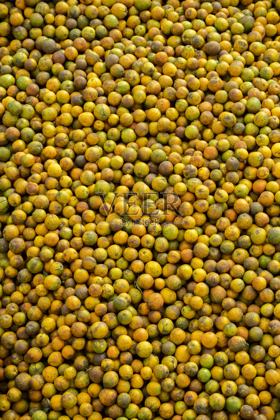 橙色组股票照片照片摄影图片