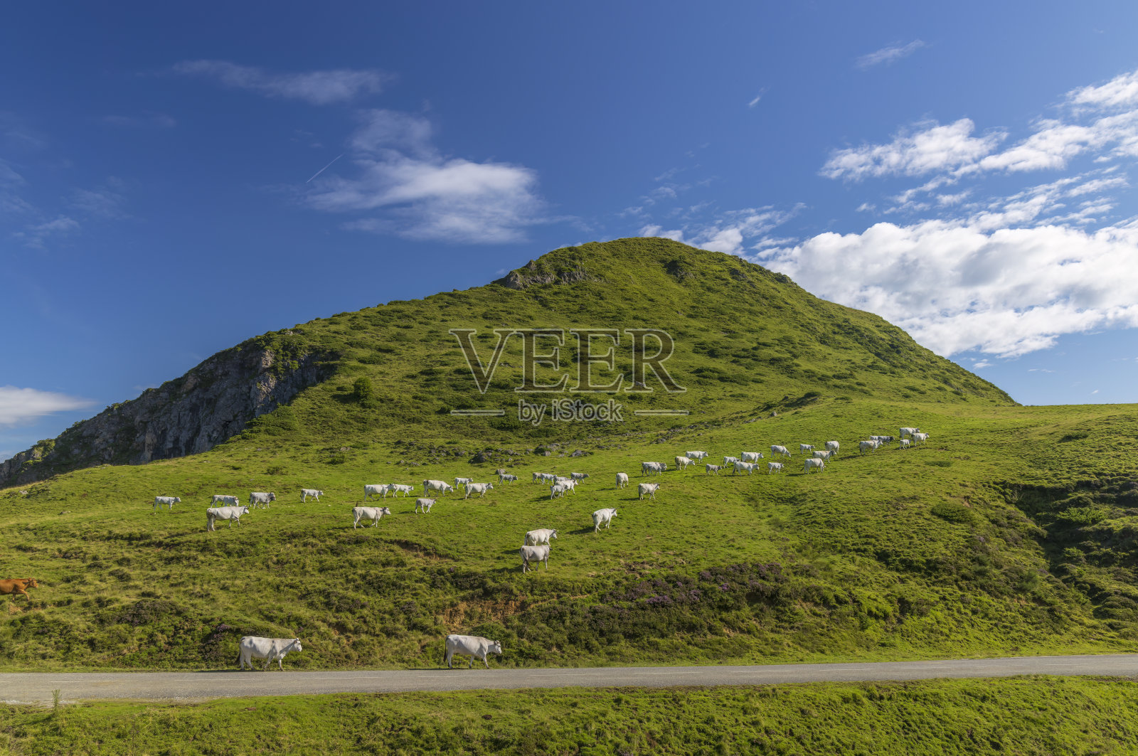 法国比利牛斯山脉阿列日省阿格尼斯山景附近照片摄影图片