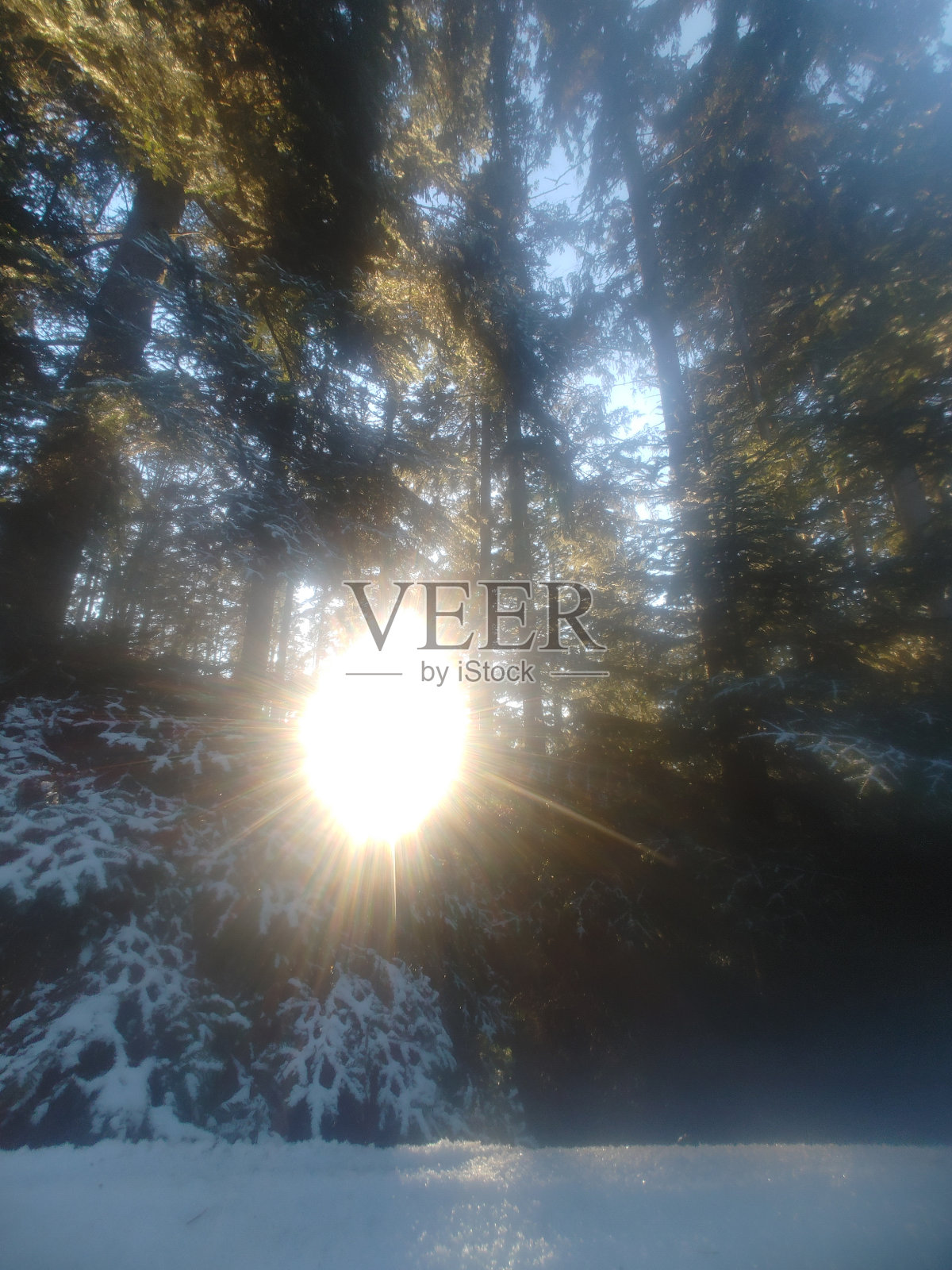 冬天照片摄影图片