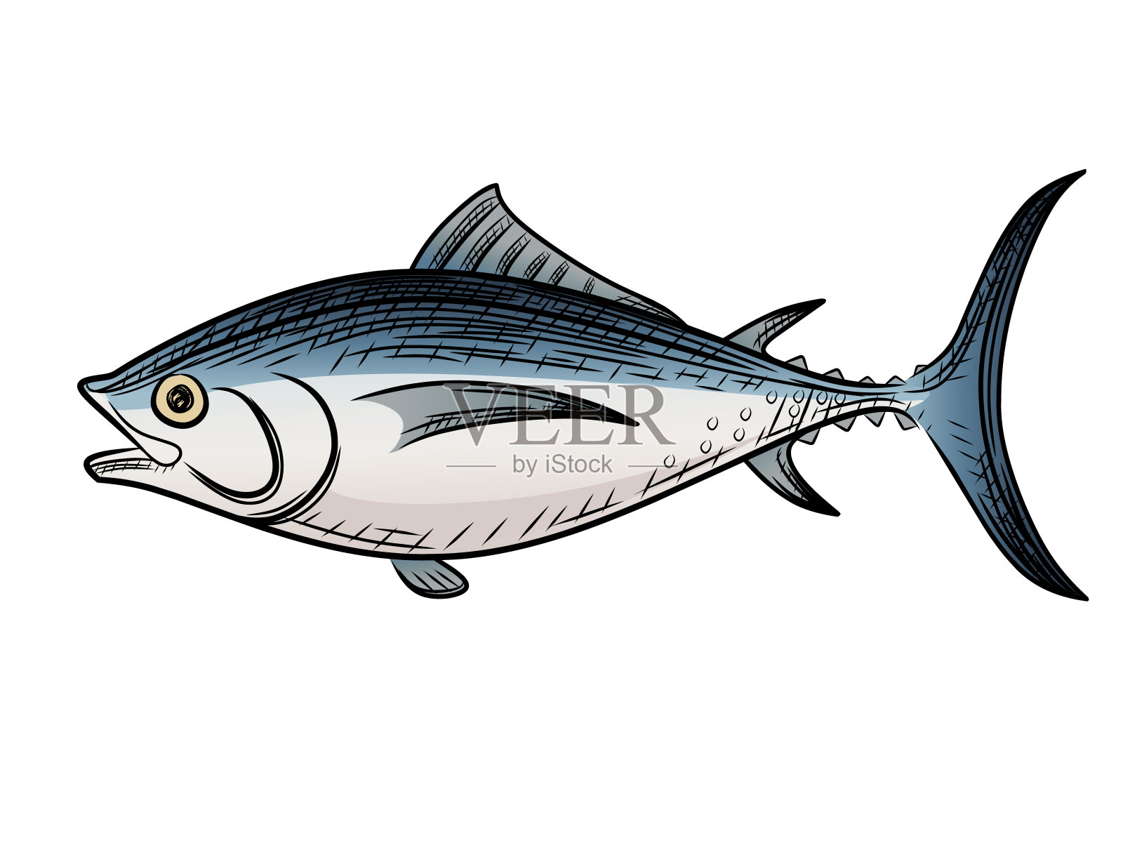 海洋金枪鱼海鲜鱼卡通设计矢量插图孤立在白色背景上插画图片素材