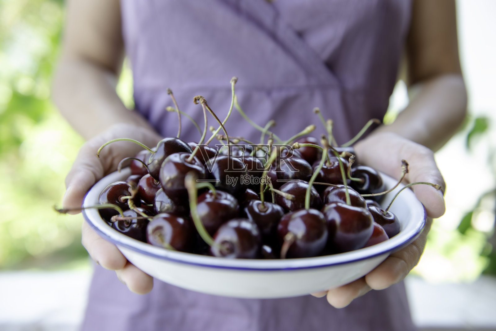 樱桃照片摄影图片