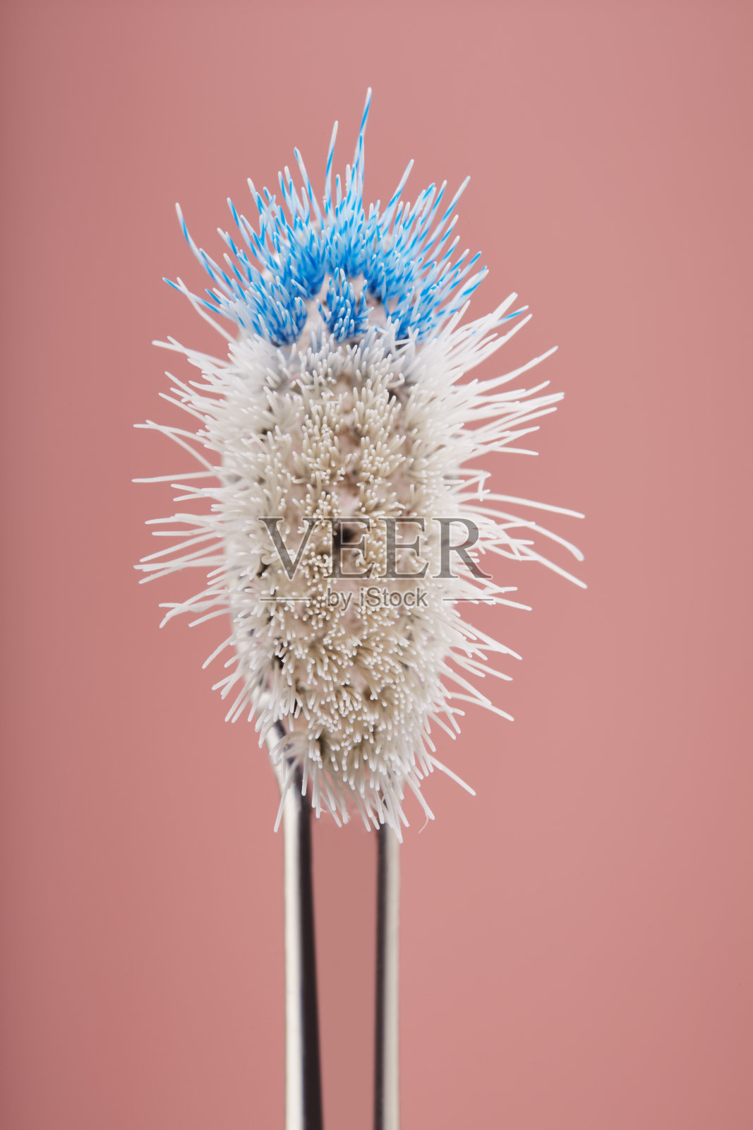 破旧的塑料牙刷，刷毛弯曲，使用状况不佳照片摄影图片