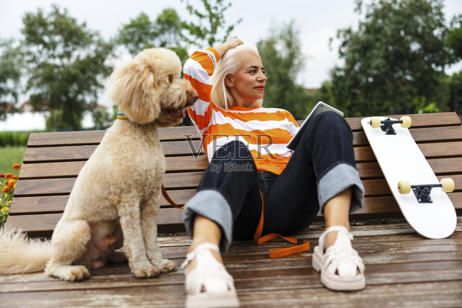 成熟的成年快乐的女人使用数码平板电脑，享受与狗在滑冰公园照片摄影图片