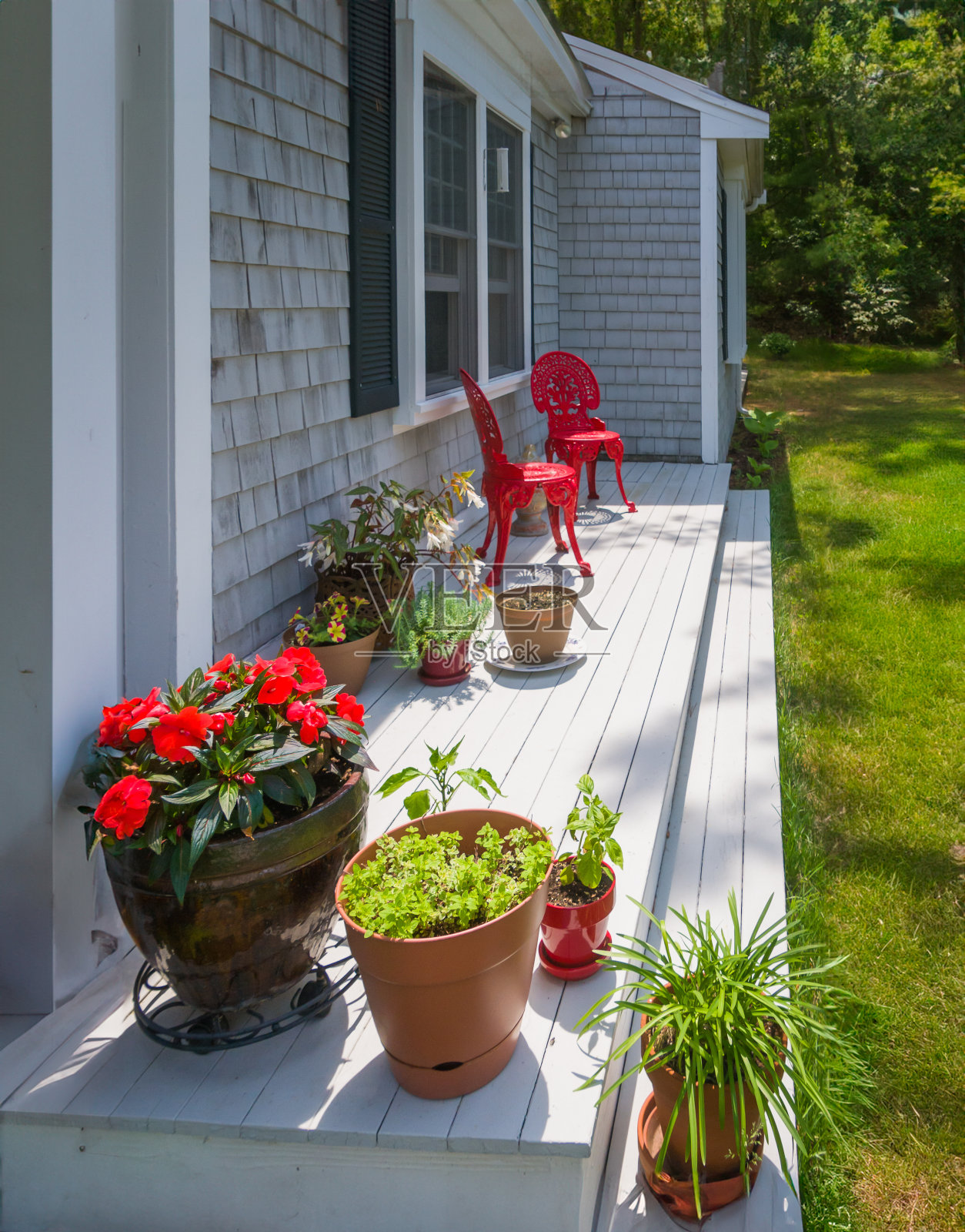门廊上的植物照片摄影图片