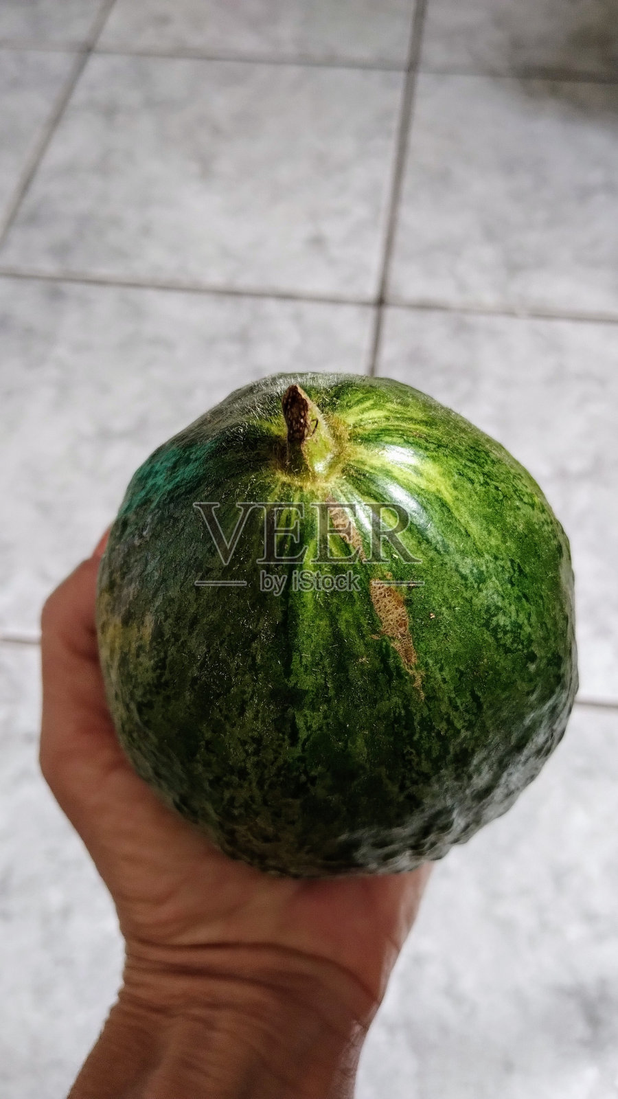 异国情调的南瓜照片摄影图片