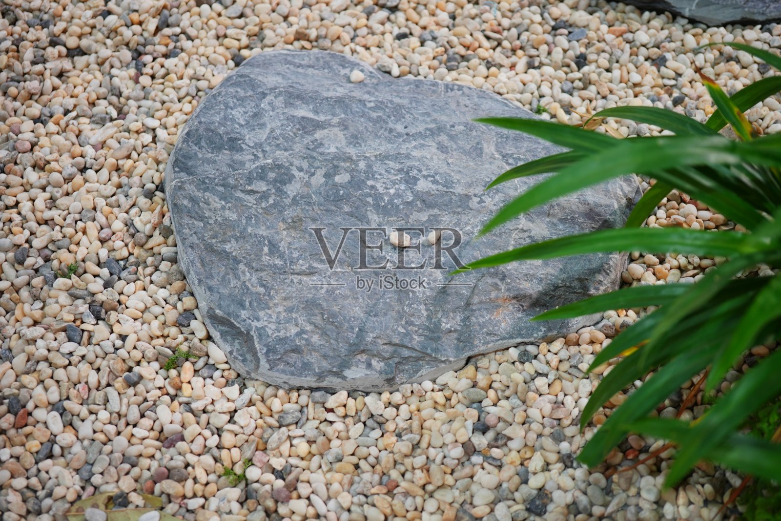 花园背景中的石块照片摄影图片