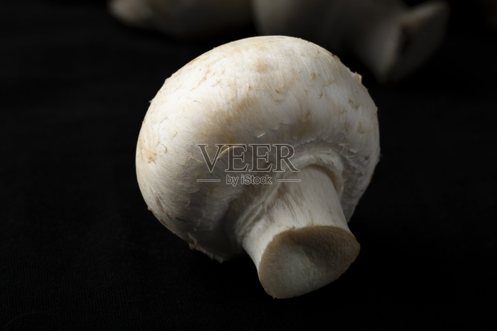 黑色背景上的蘑菇。照片摄影图片