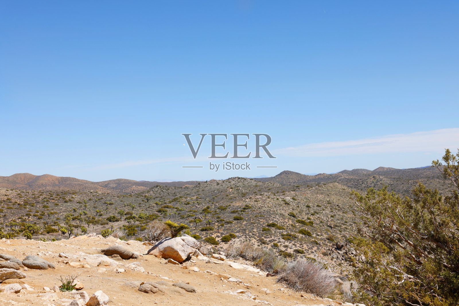 约书亚国家公园的悬崖和山脉照片摄影图片