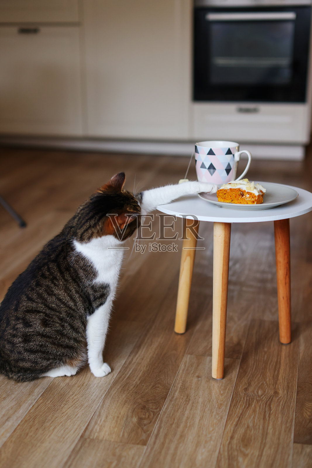 一只家猫试图从桌子上偷一个无麸质胡萝卜蛋糕照片摄影图片