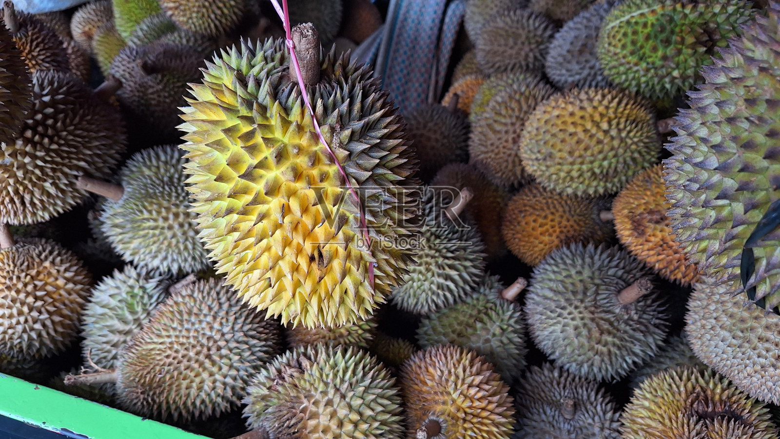 新鲜的奶油榴莲收获，挂起来，堆放在市场上出售。照片摄影图片