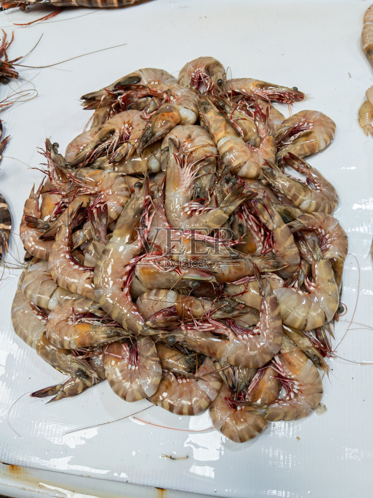 一堆新鲜的虾。照片摄影图片