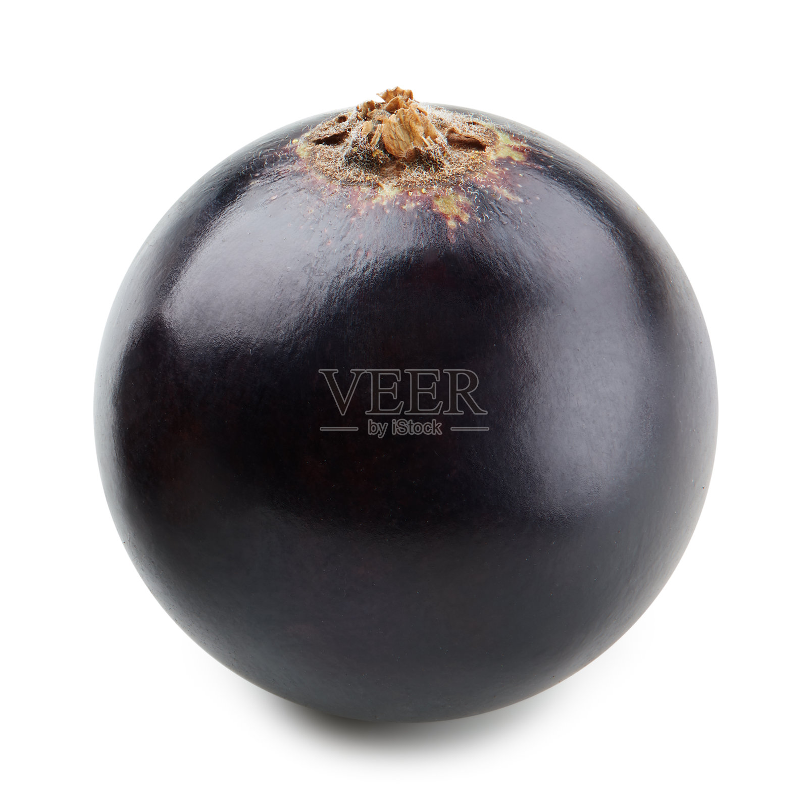 黑加仑分离照片摄影图片