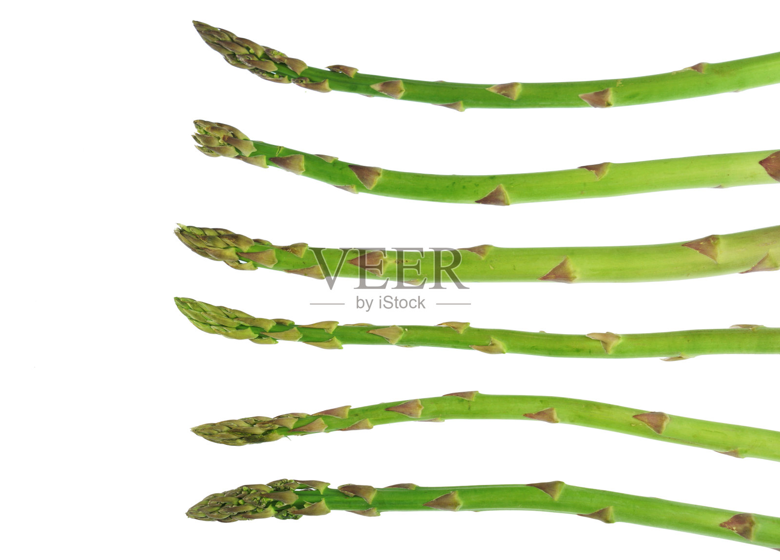 在白色背景上分离的新鲜芦笋照片摄影图片