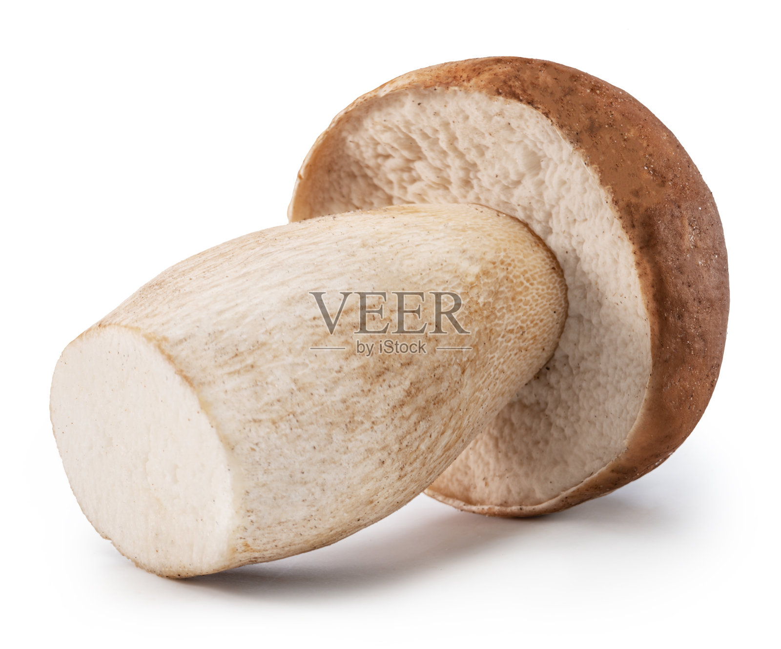 白底分离的牛肝菌。文件包含剪辑路径。照片摄影图片