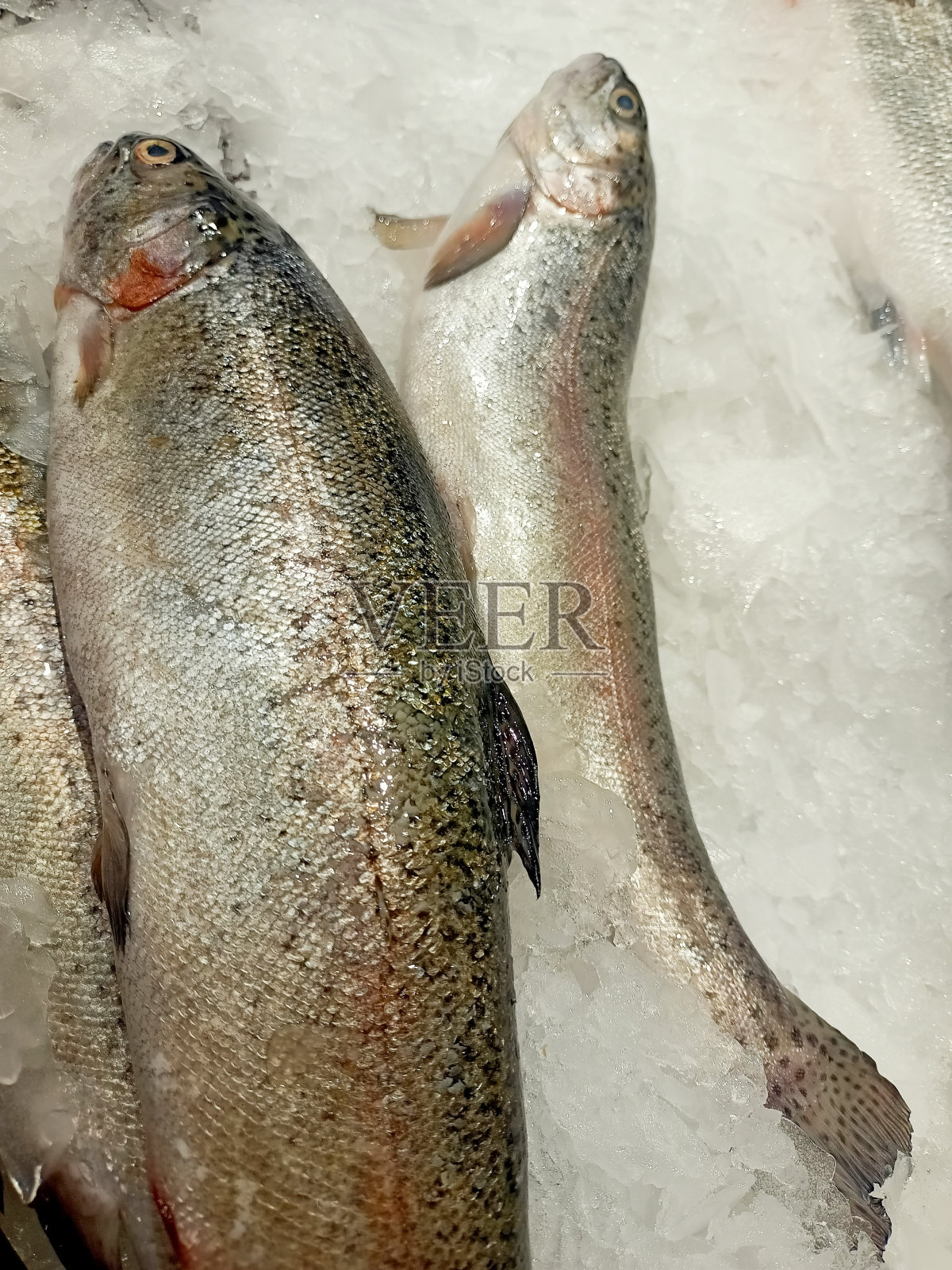 市场上的冰鱼和海鲜照片摄影图片