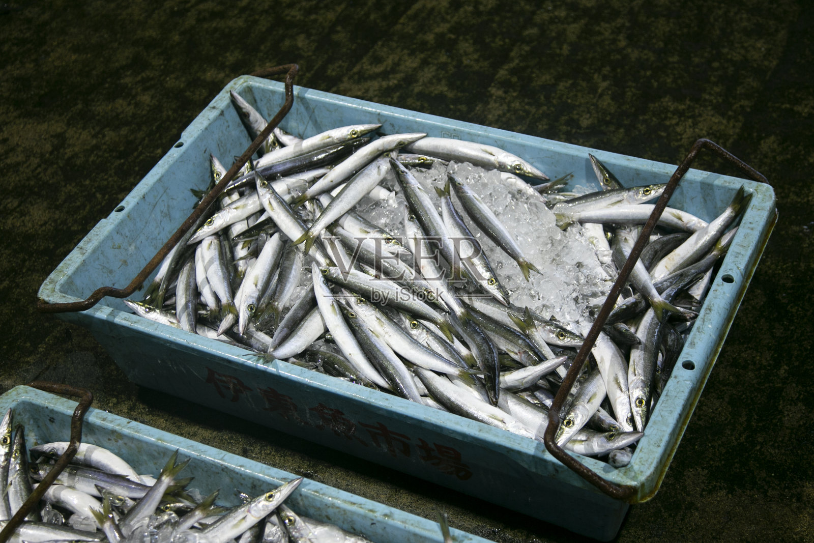 筑地外市场的日本品种鱼照片摄影图片