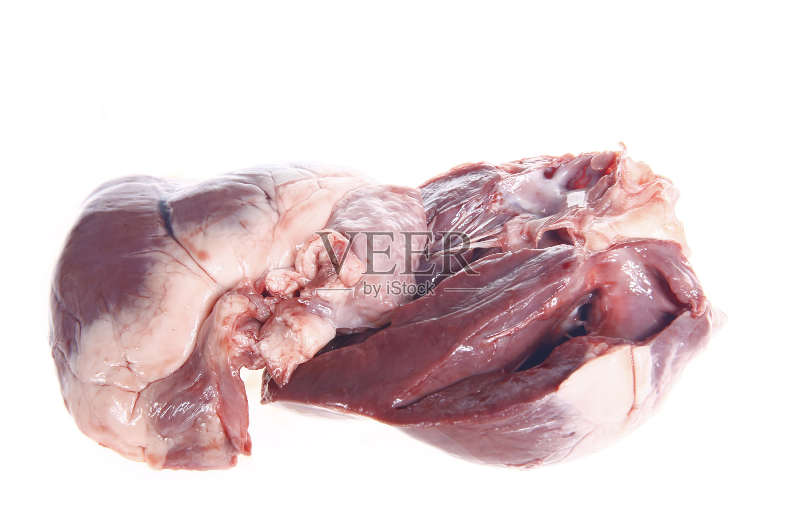 白色背景上的猪心照片摄影图片