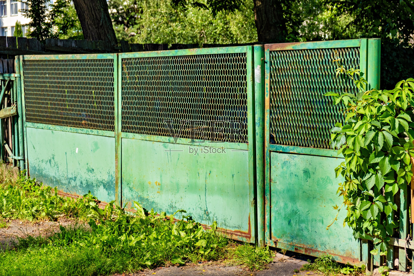 绿色的金属栅栏旁边的树有树叶。照片摄影图片