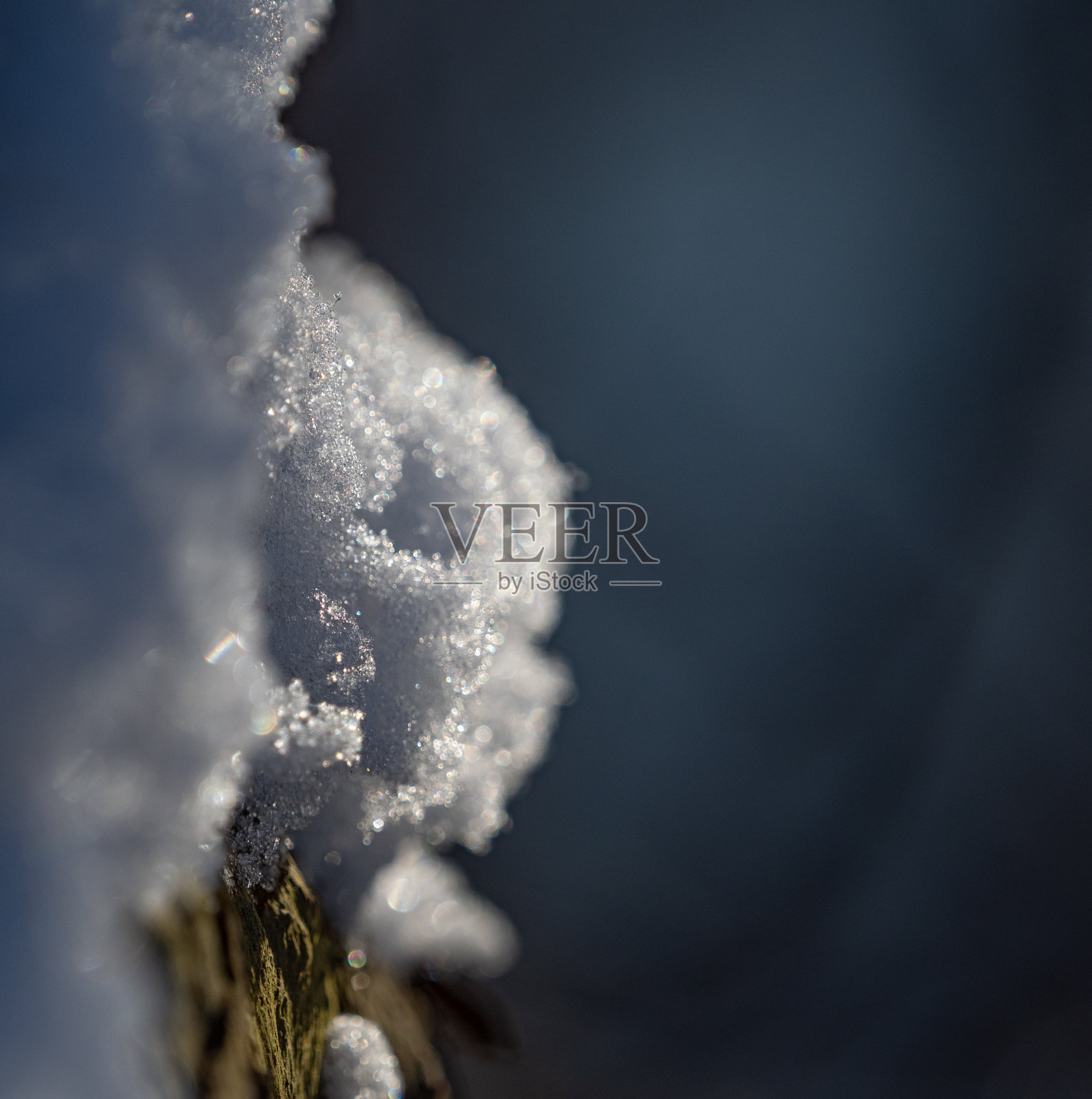 雪和草在覆盖着冬露的森林中生长照片摄影图片