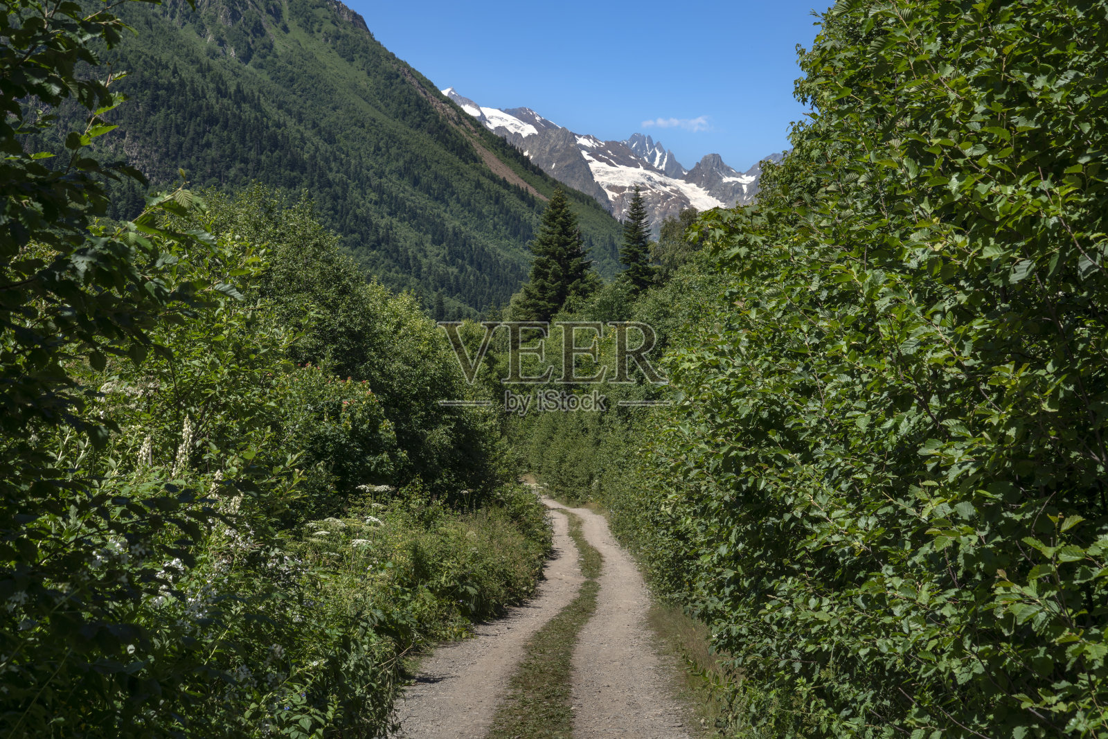 在一个阳光明媚的夏日，俄罗斯卡拉恰伊-切尔克斯，北高加索山区的Dombay- ulgen峡谷和Dombay村附近的Chuchkhur瀑布照片摄影图片