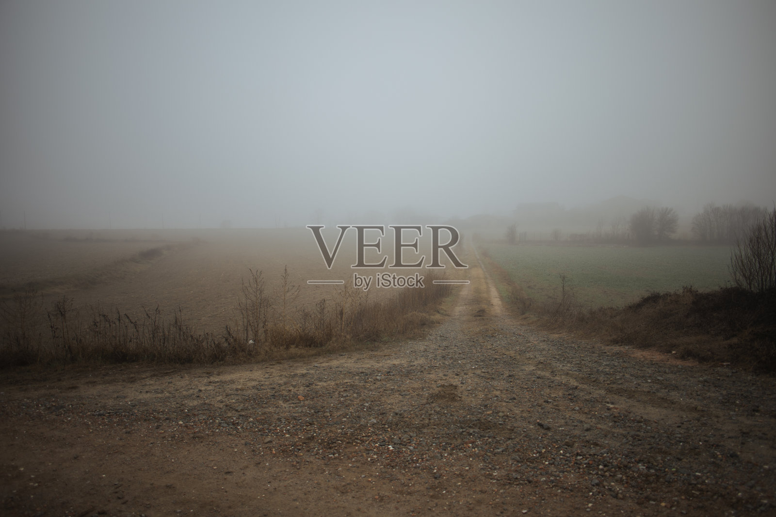 风景在乡村与雾照片摄影图片