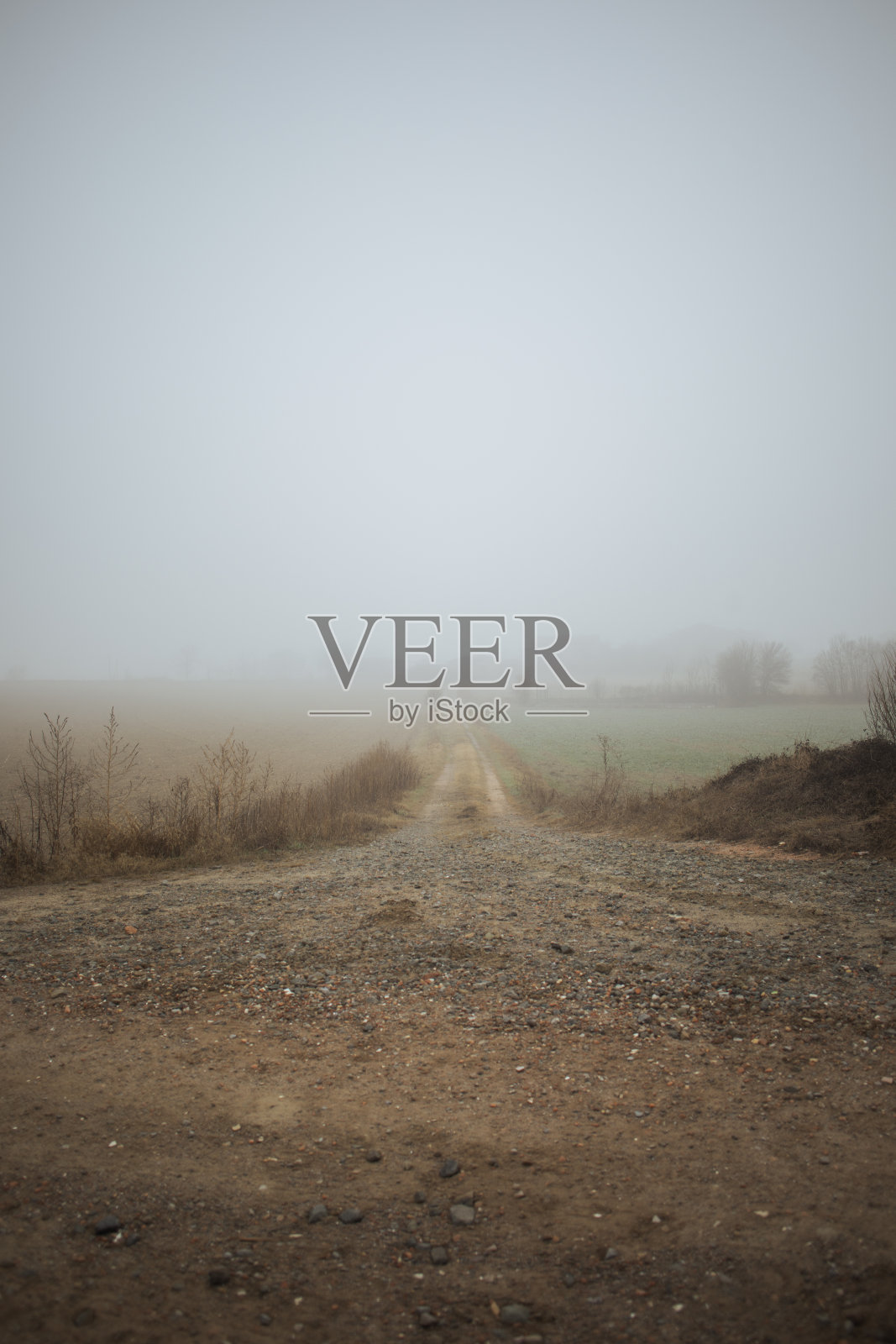 风景在乡村与雾照片摄影图片