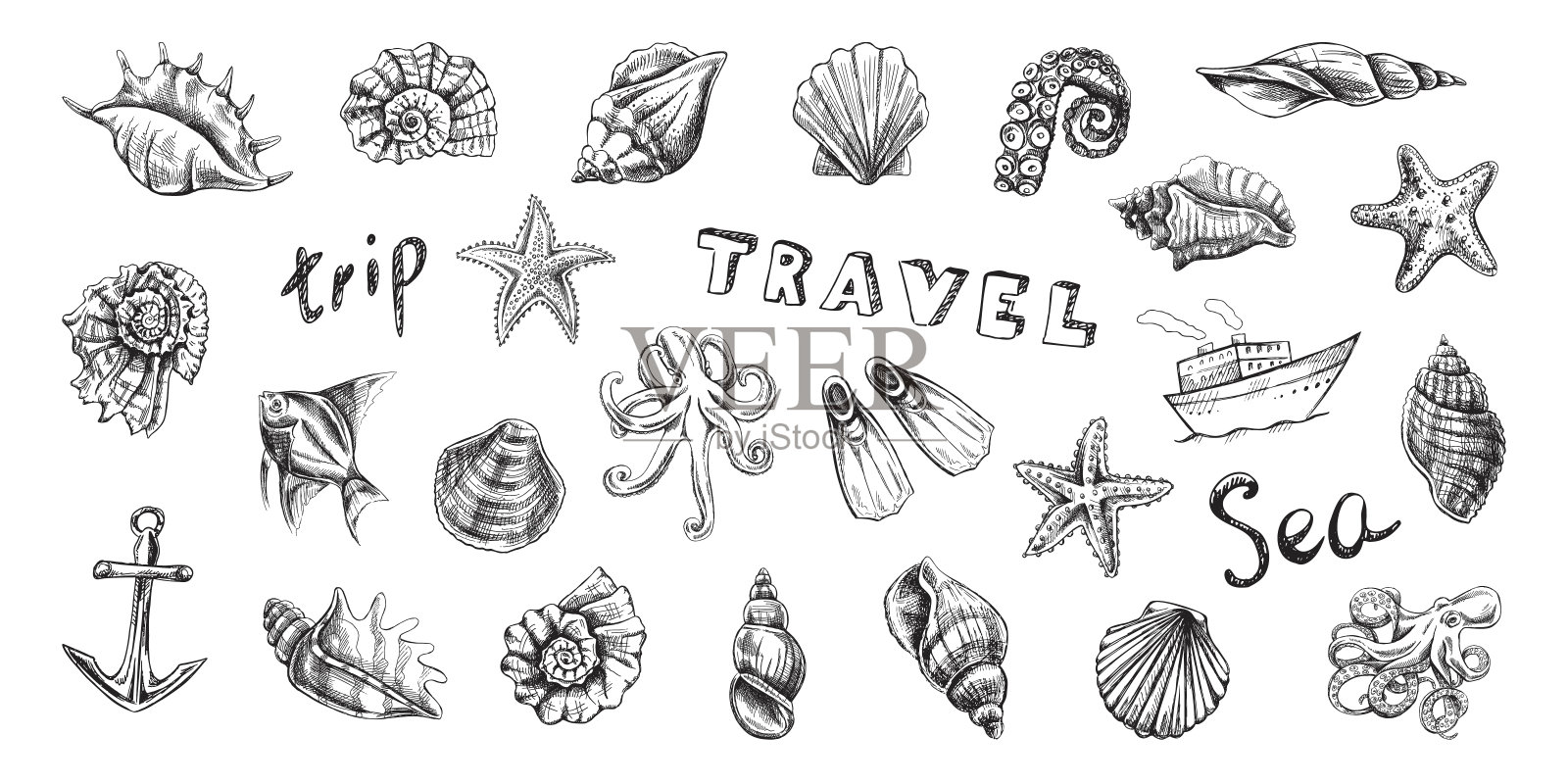 海洋和旅游图标。贝壳，章鱼，鱼，海星，海马，鹦鹉螺矢量集。手绘插图。收集各种海洋生物的现实素描和字母孤立。插画图片素材