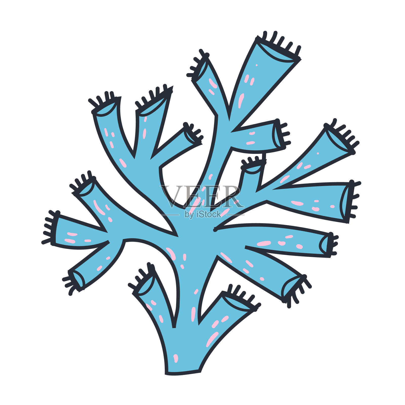 珊瑚海植物海藻海洋热带自然涂鸦线艺术风格孤立集。矢量隔离图形设计插图插画图片素材