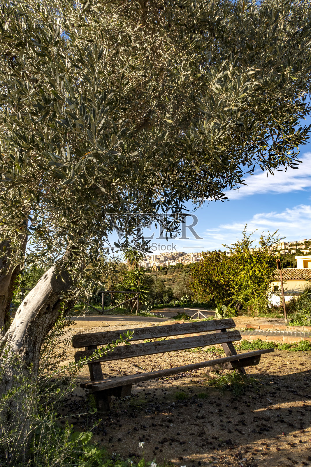 在公园里休息照片摄影图片