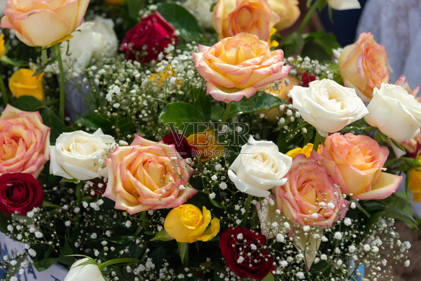 沙滩上的花。照片摄影图片