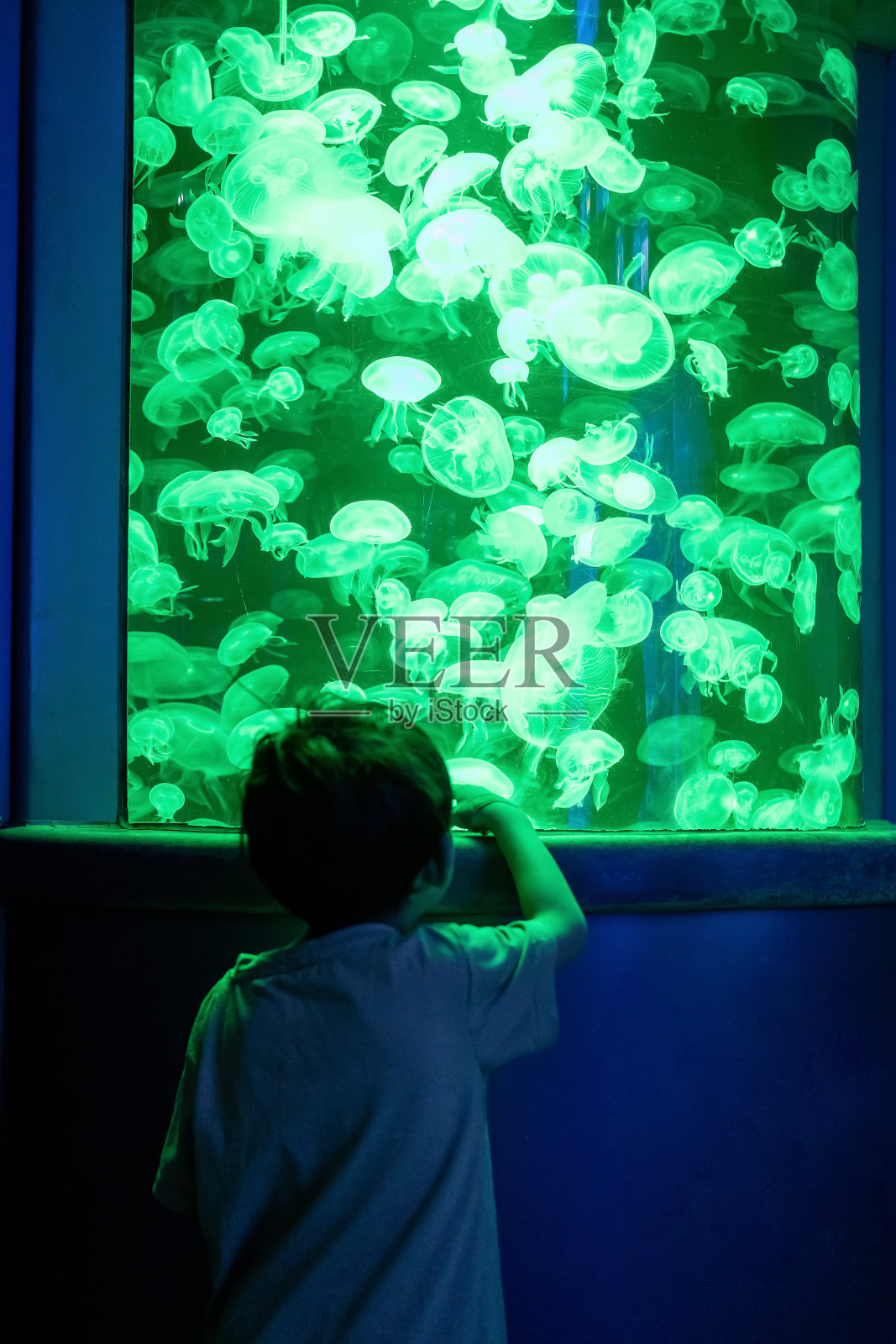 一个亚洲男孩在海洋馆里看着蓝绿色的水母照片摄影图片