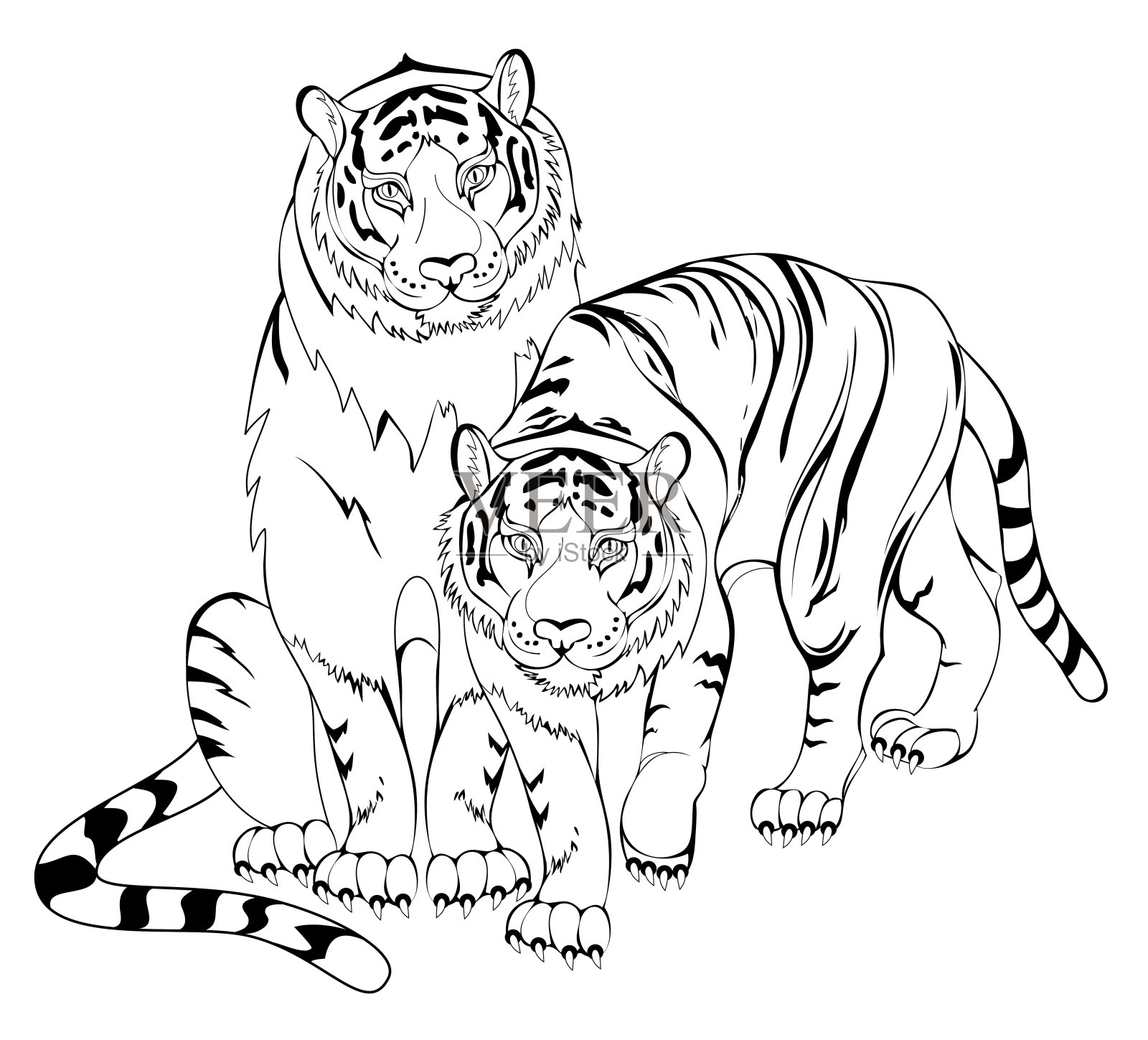 黑白页儿童涂色书。老虎夫妇的插图。适合儿童和成人的工作表。用于时尚、刺绣、纹身、装饰的现代印花。手绘矢量图像。插画图片素材