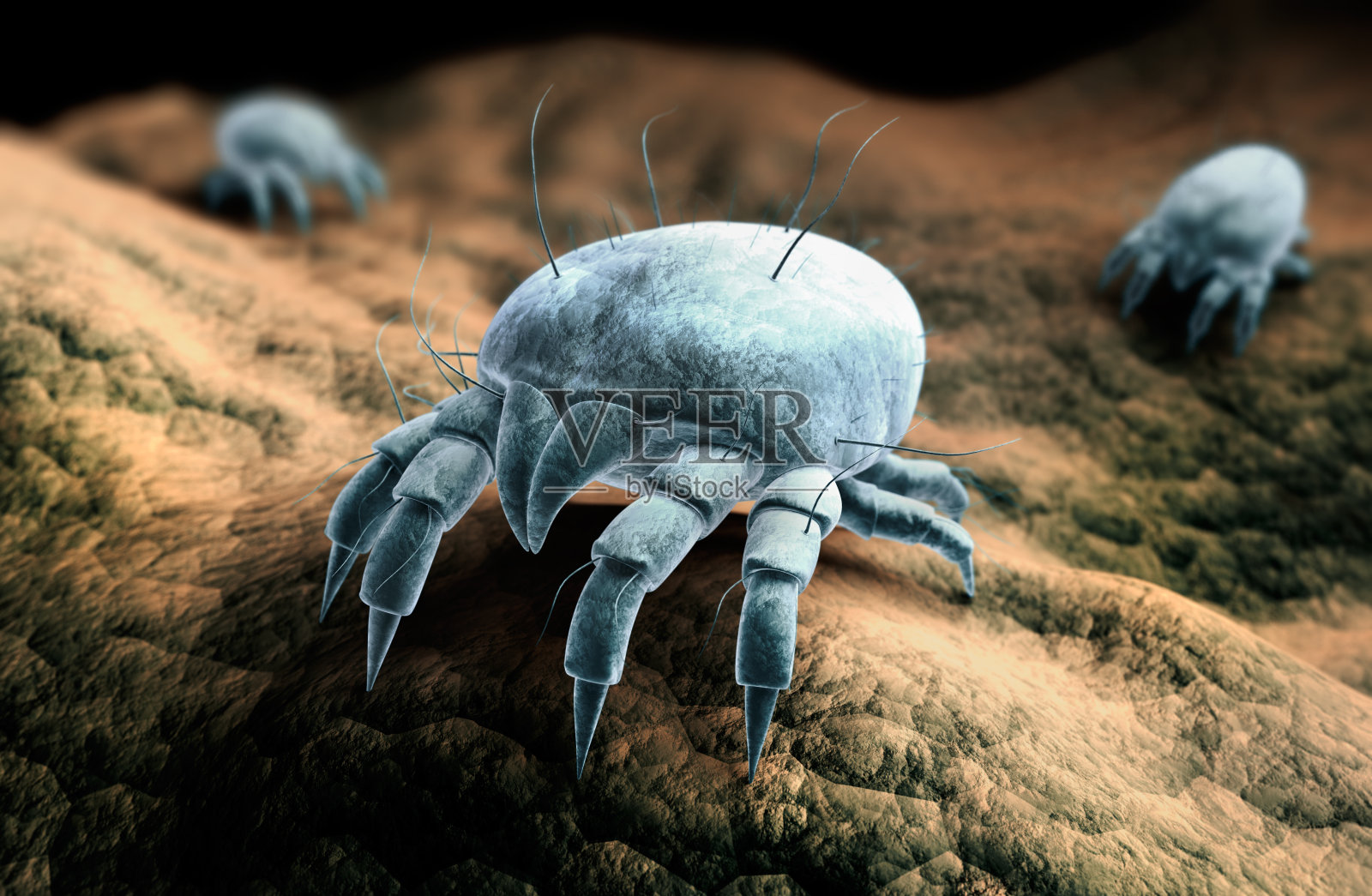 尘螨群照片摄影图片