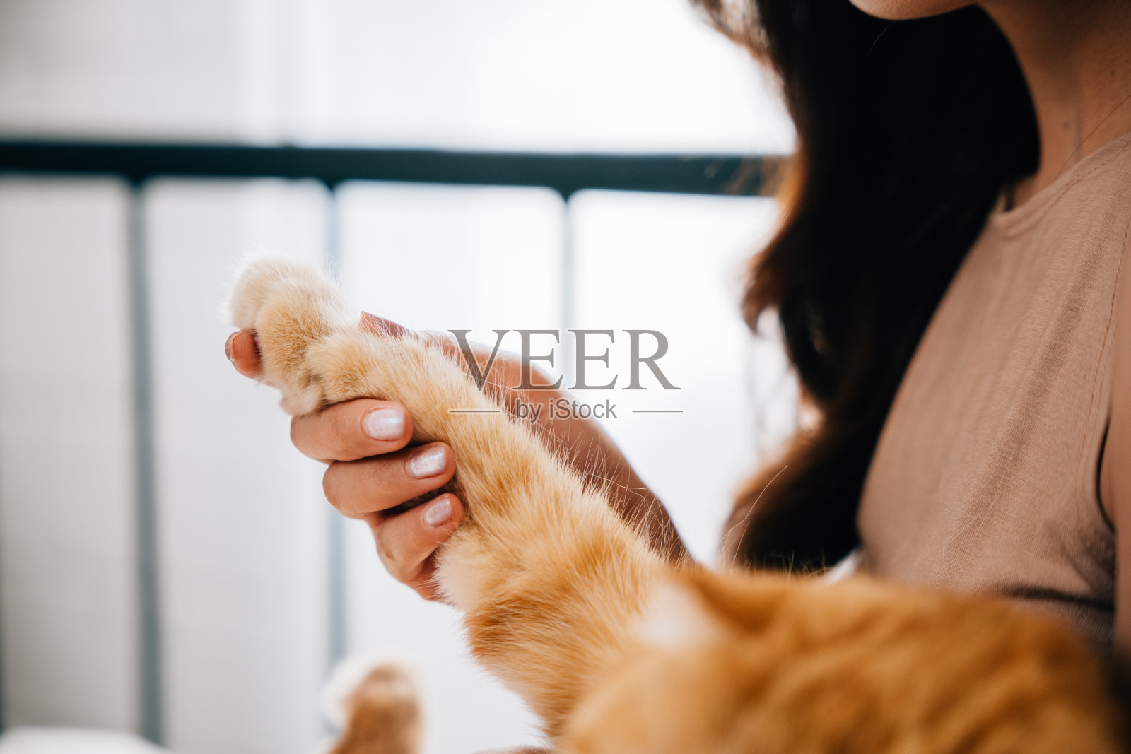 一位宠物主人和她的猫在一起，他们坐在一起，非常和谐地握住它的爪子，这是友谊和支持的温暖展示。帕特爱照片摄影图片