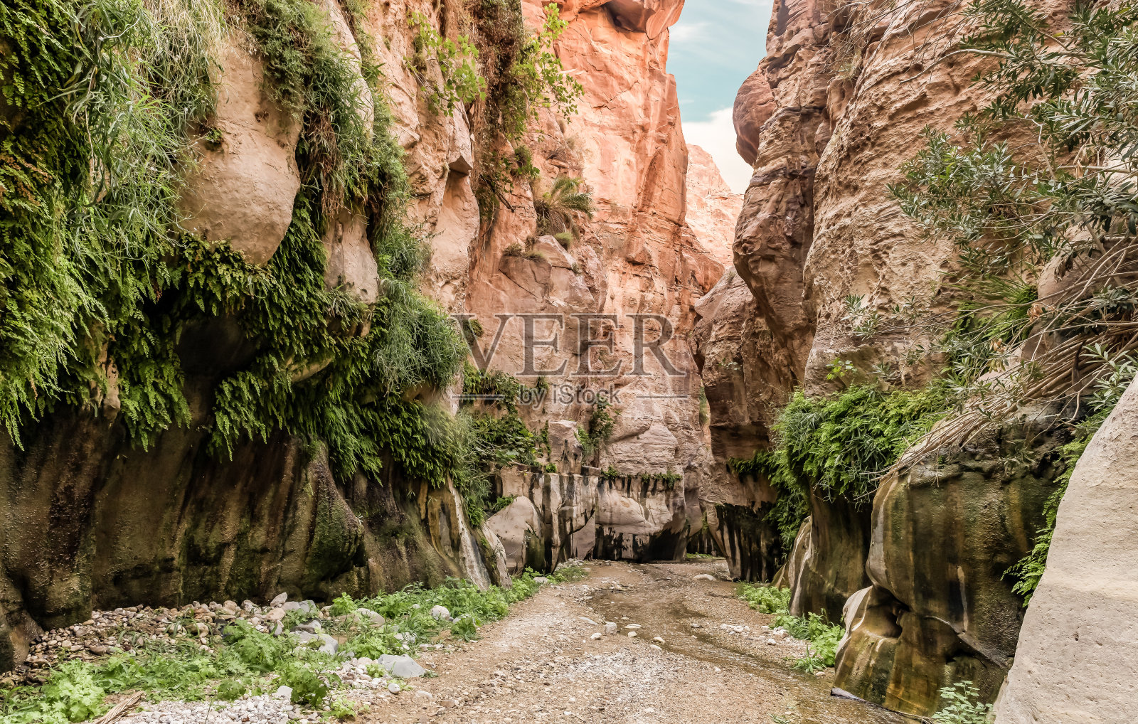 约旦安曼附近，瓦迪古韦尔峡谷浅溪两岸长满绿色植物的高山斜坡照片摄影图片