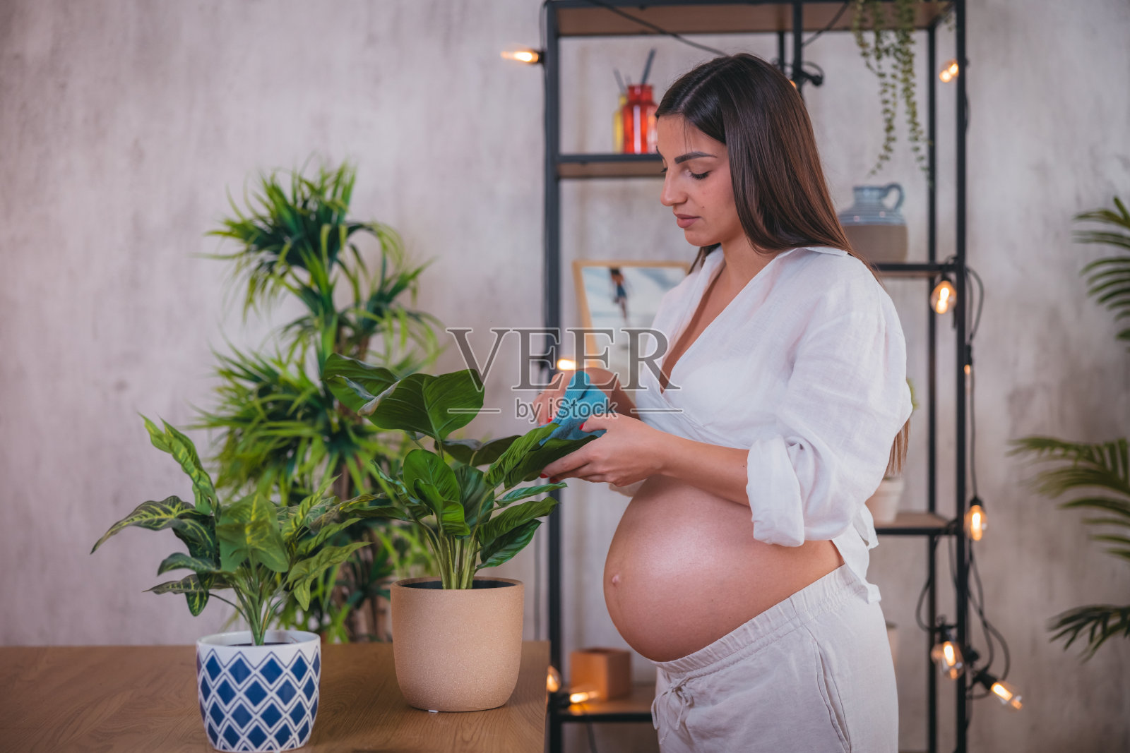 美丽的孕妇在家照顾她的植物照片摄影图片
