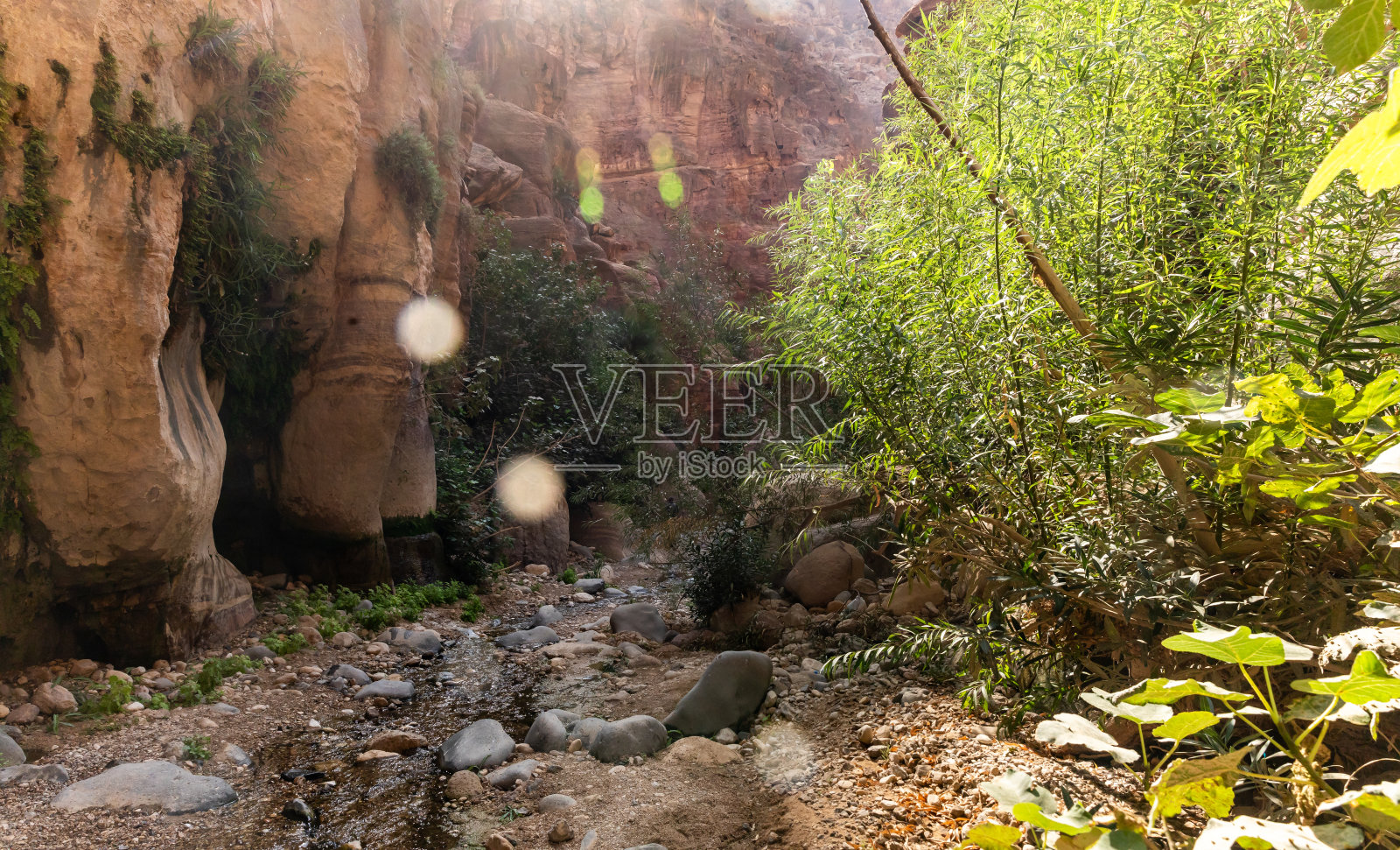 约旦安曼附近的山坡峡谷照片摄影图片