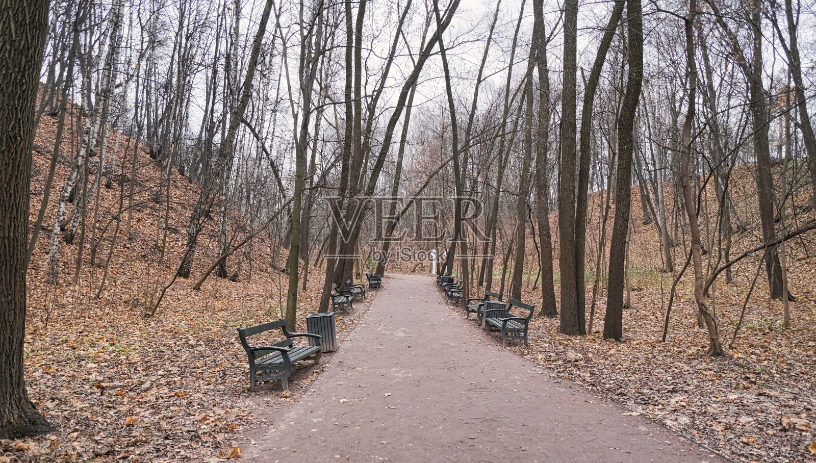 路在一个美丽的秋天公园，两旁有橡树和长凳照片摄影图片