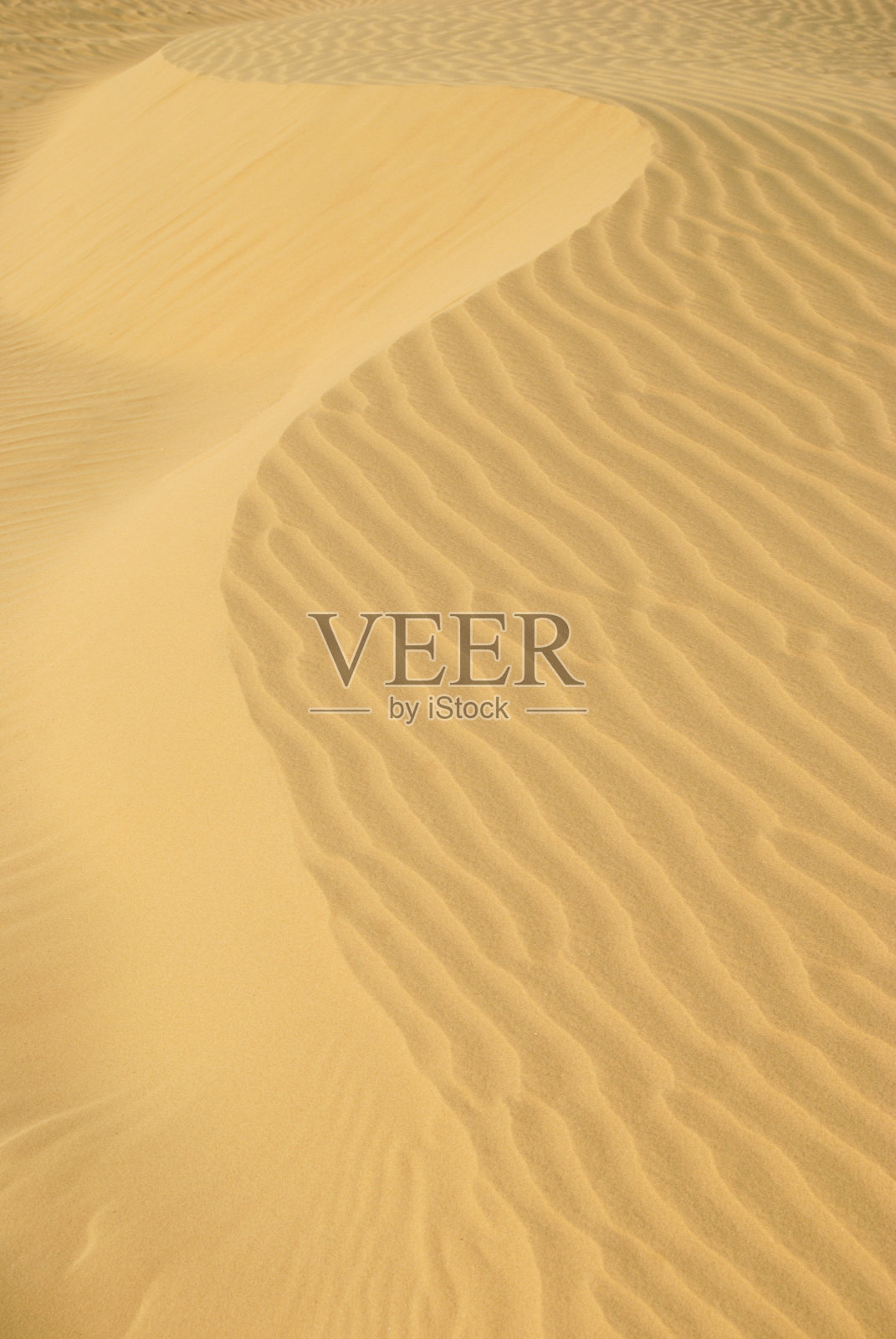 白天的沙漠沙地图案。金色的沙浪或沙丘。沙浪照片摄影图片