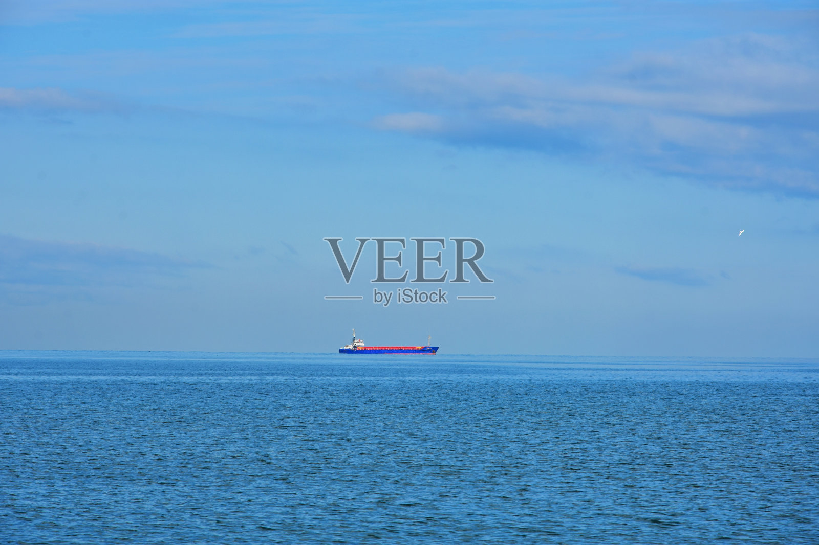 地平线上的油轮和蓝天上的海鸥照片摄影图片