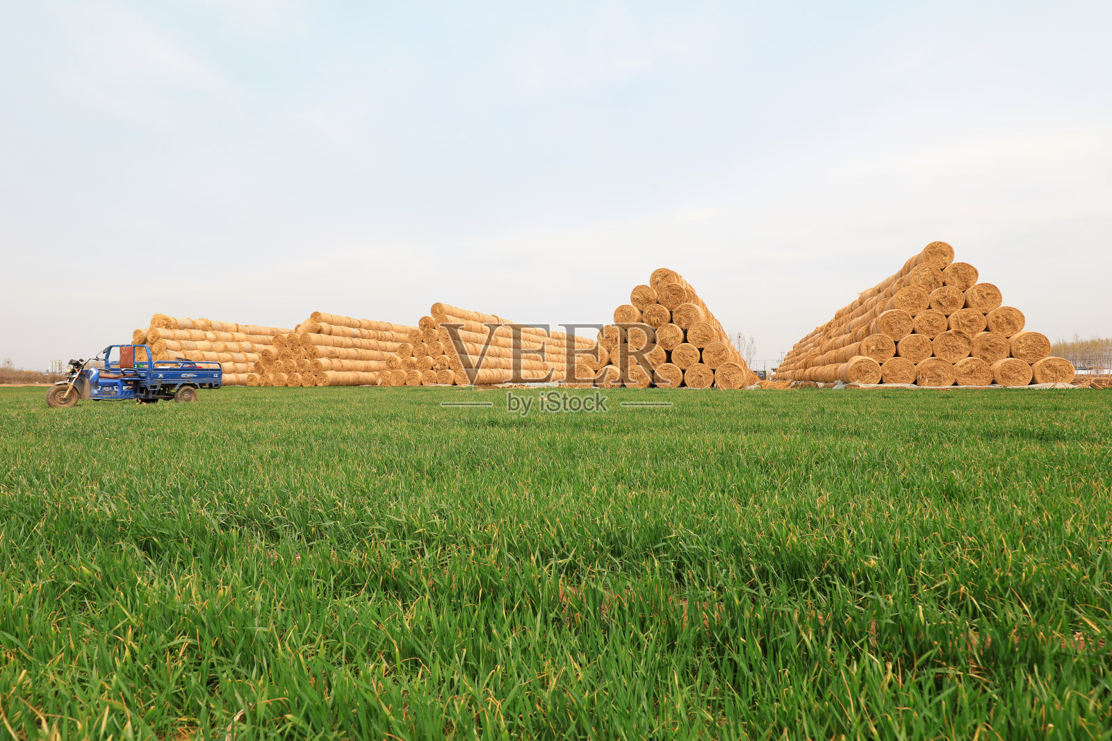 一堆堆稻草滚在中国北方的麦田里照片摄影图片