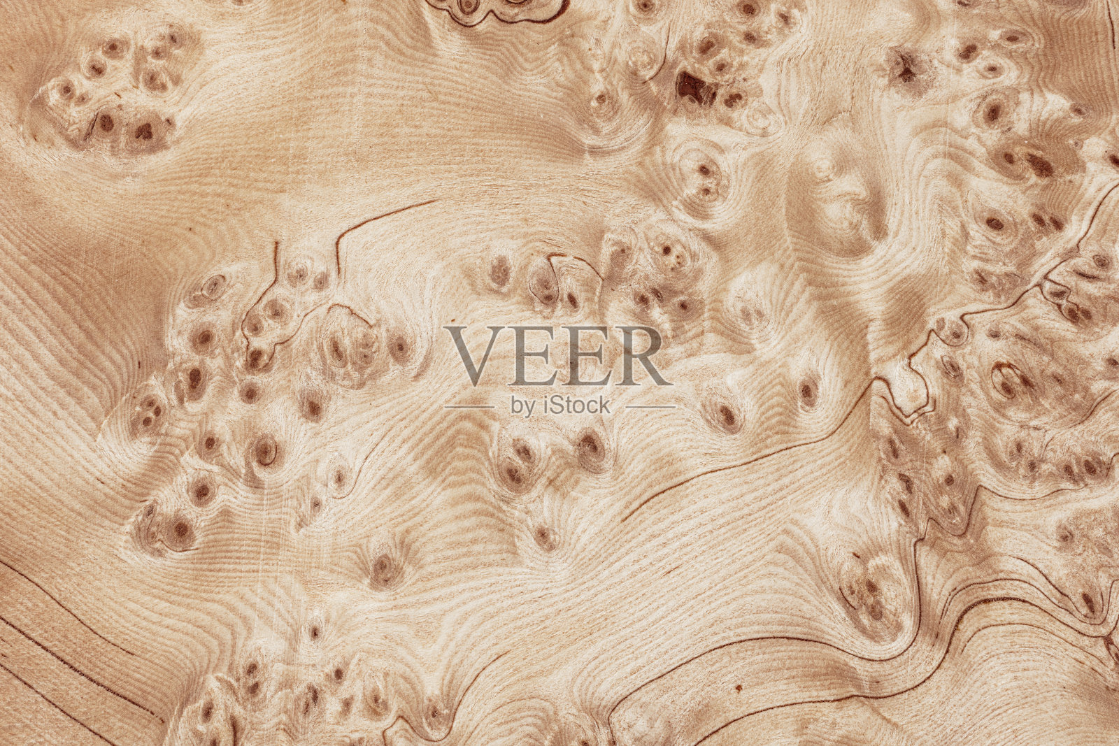 木质纹理的设计和装饰背景。照片摄影图片