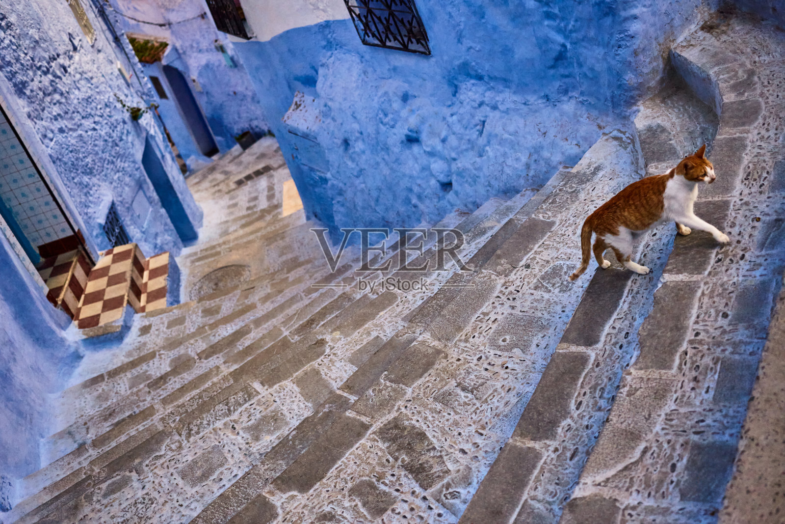 摩洛哥舍夫沙万的蓝色城市，楼梯上有猫照片摄影图片