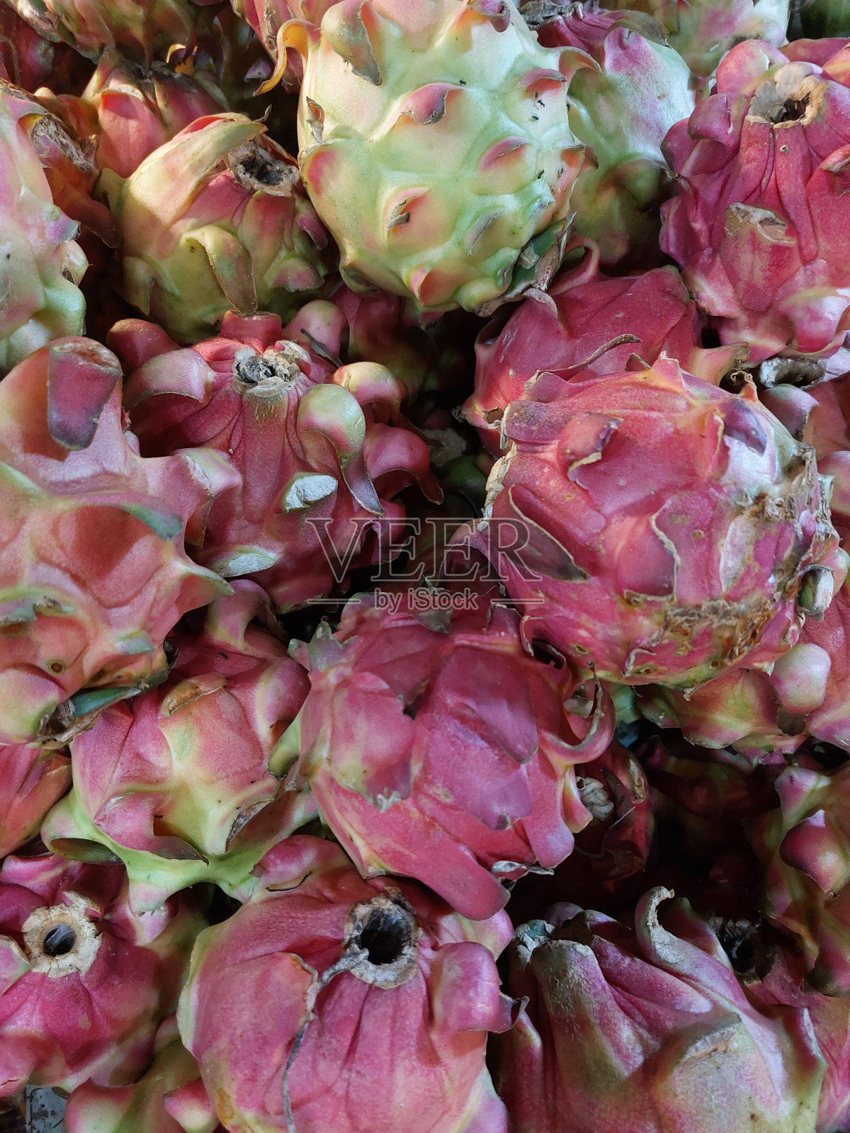 印尼市场摊位上的火龙果照片摄影图片