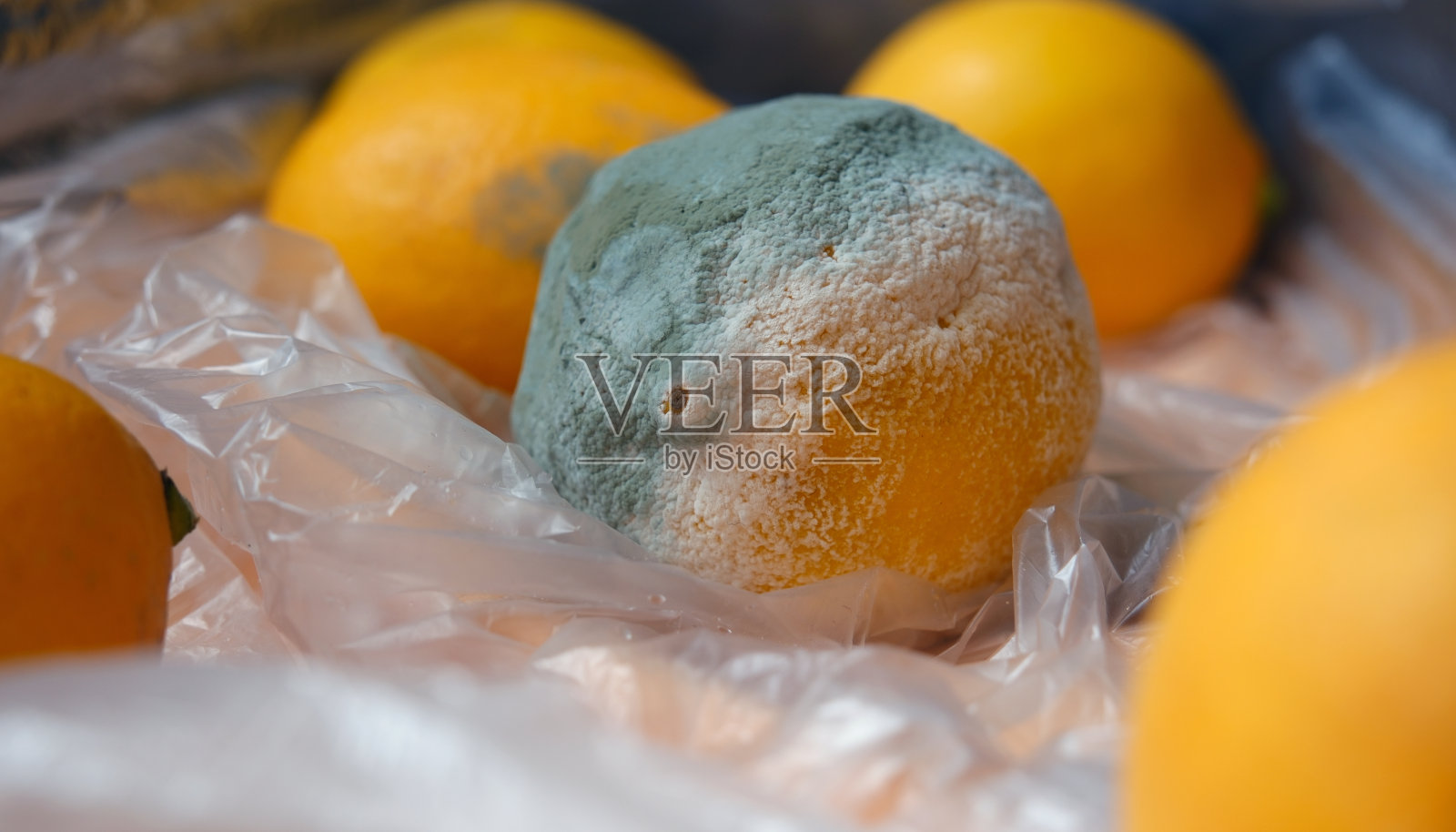 腐烂的柠檬照片摄影图片