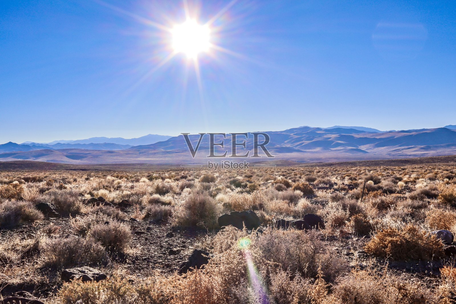 11月太阳-里昂公司照片摄影图片