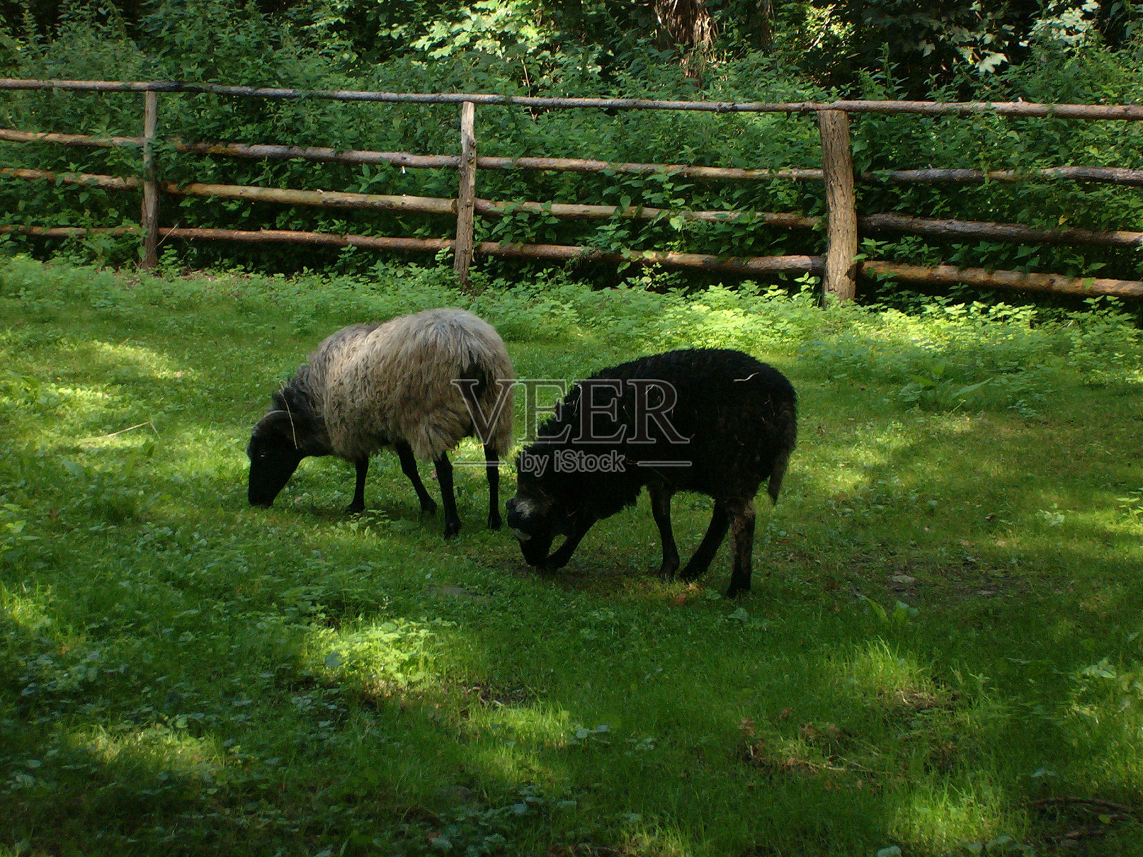 Seehotel Luisenhof照片摄影图片