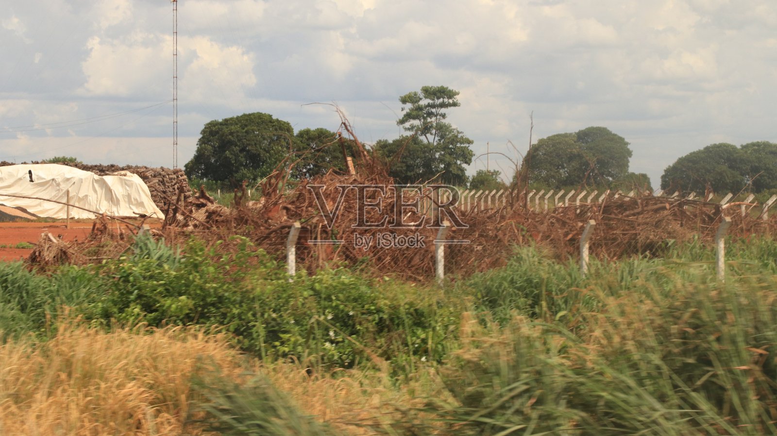 高速公路旁的景象照片摄影图片