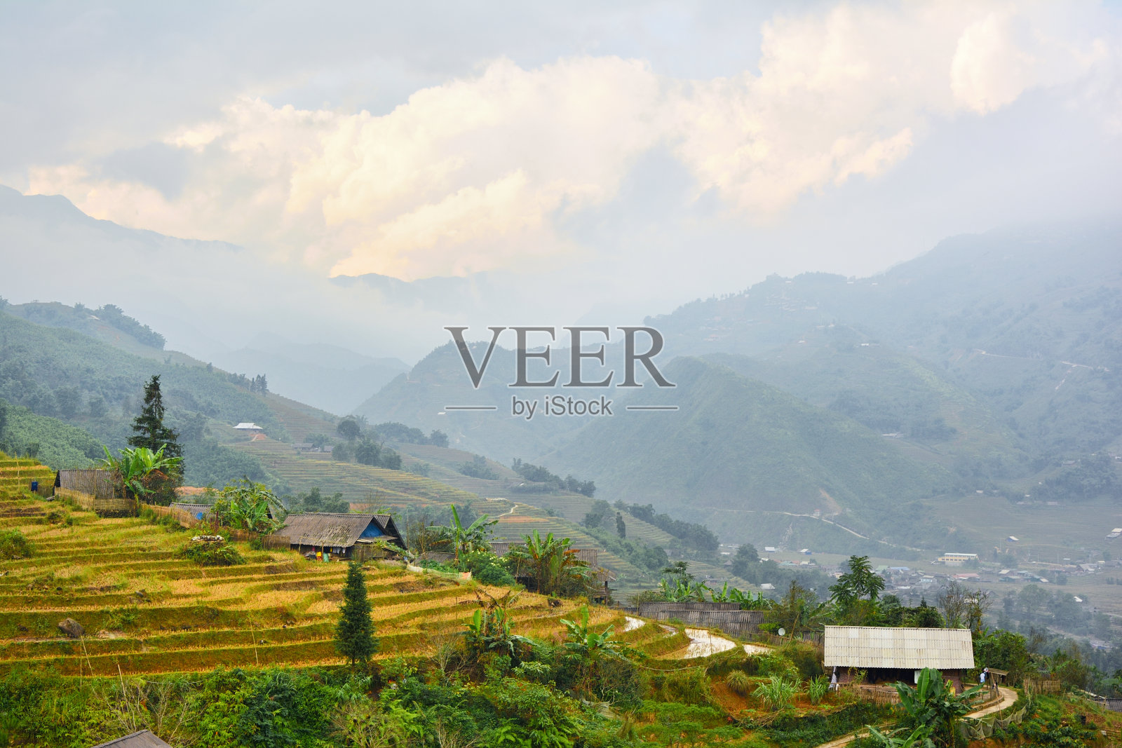 越南Sa Pa Muong Hoa山谷的tavan水稻梯田照片摄影图片