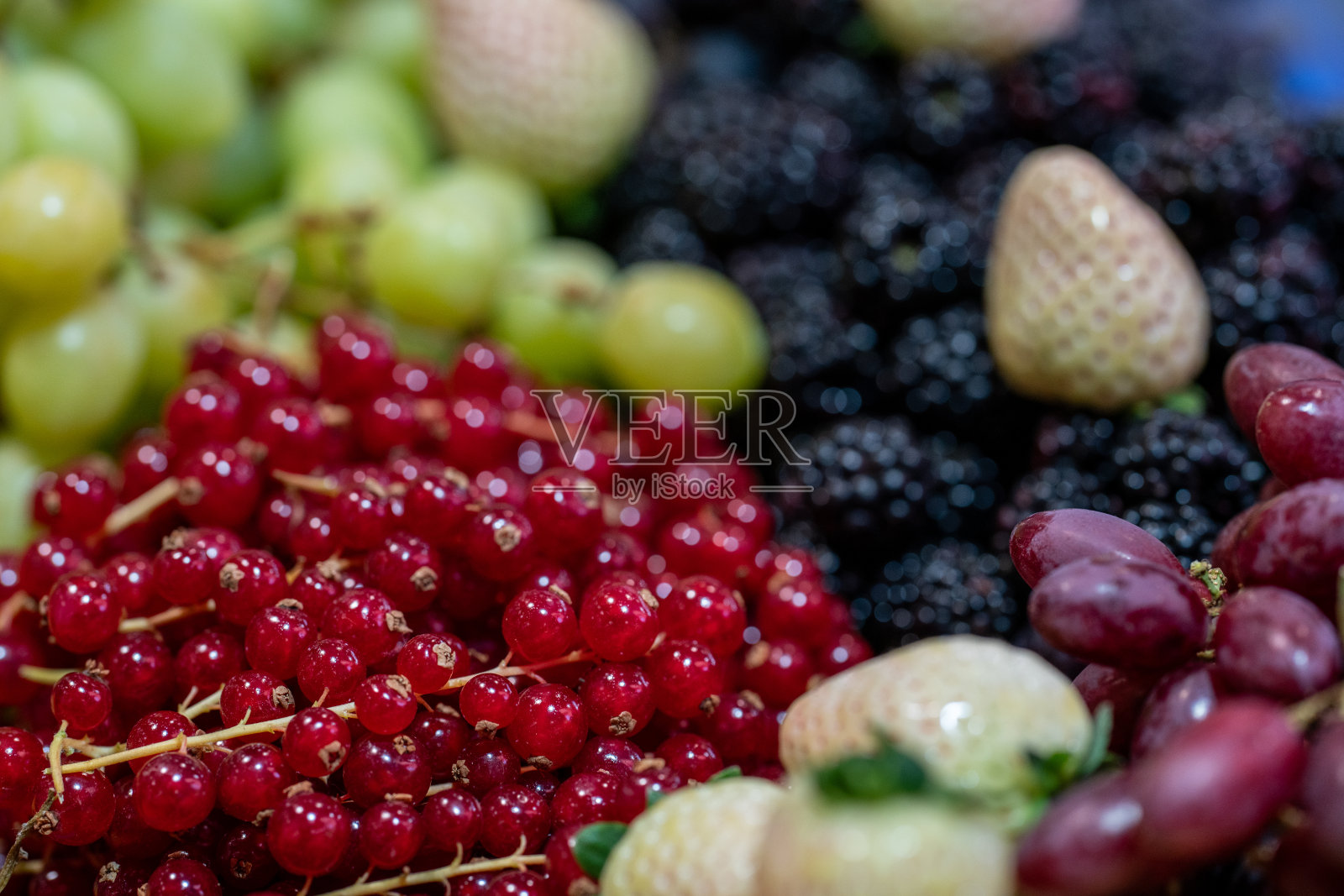 混合了醋栗，白草莓，黑莓和葡萄照片摄影图片